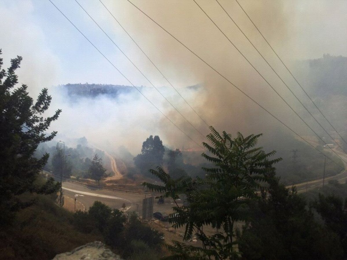 אחרי שעות ארוכות: הושגה שליטה על השריפה הגדולה