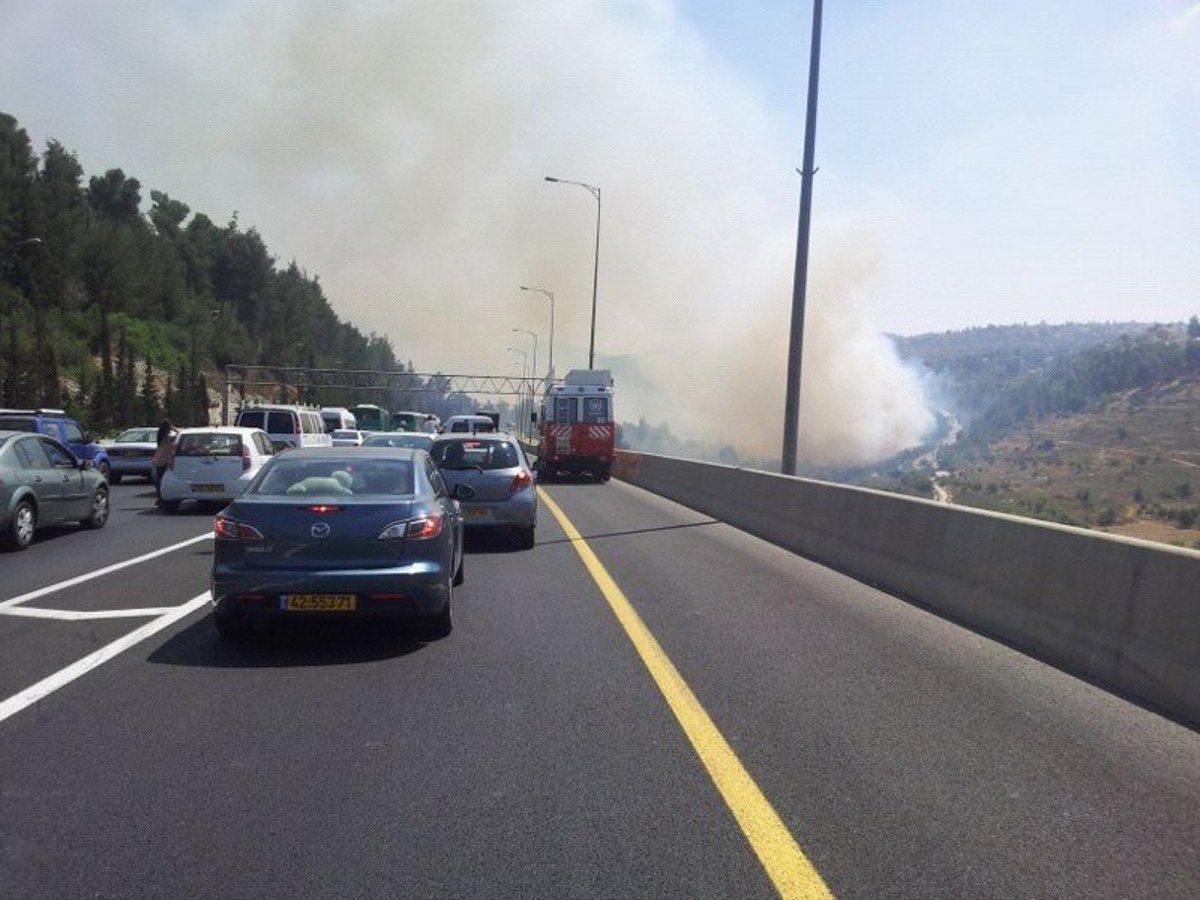 אחרי שעות ארוכות: הושגה שליטה על השריפה הגדולה