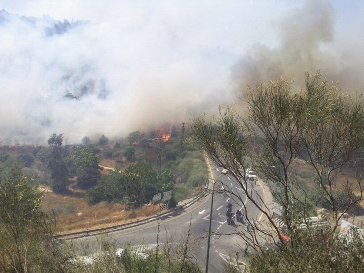 אחרי שעות ארוכות: הושגה שליטה על השריפה הגדולה