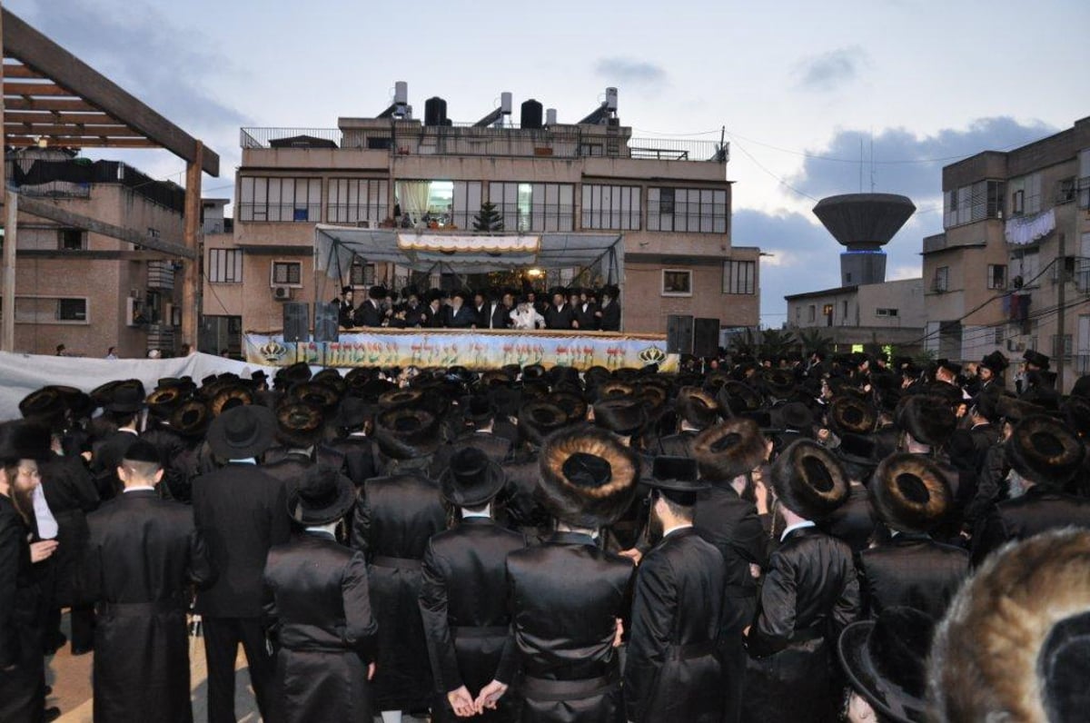 גלריה: חתונת נכדת האדמו"ר מנדבורנה זצ"ל