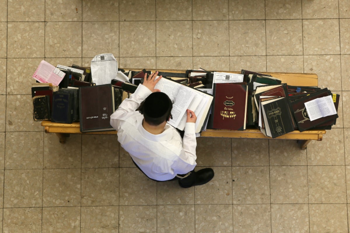 גלריה: יום ראשון בפוניבז'