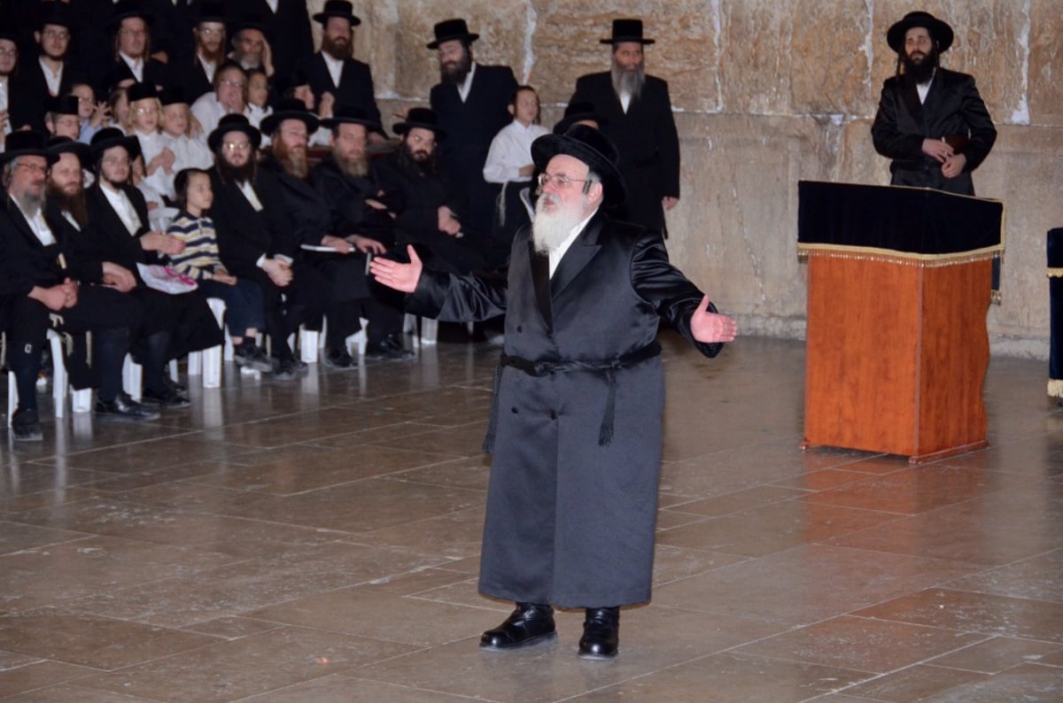 תיעוד: האדמו"ר מויזניץ בכותל המערבי