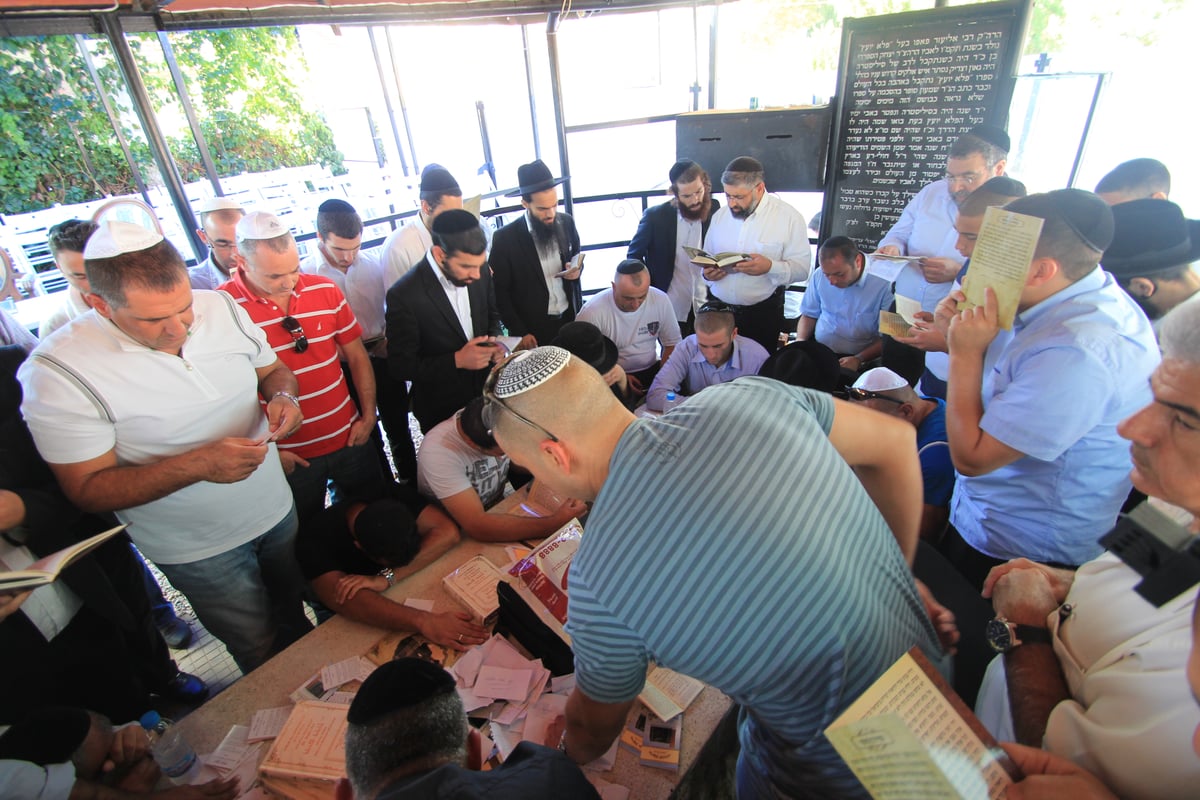 במטוס, עם הרב פינטו: המסע הסוחף לפלא יועץ