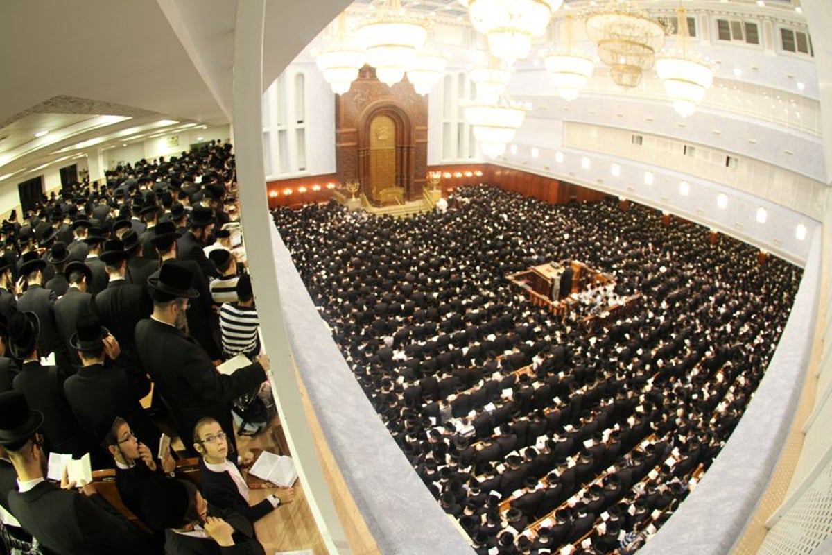 הסליחות הגדולות בתבל: אלפים התפללו בבעלזא