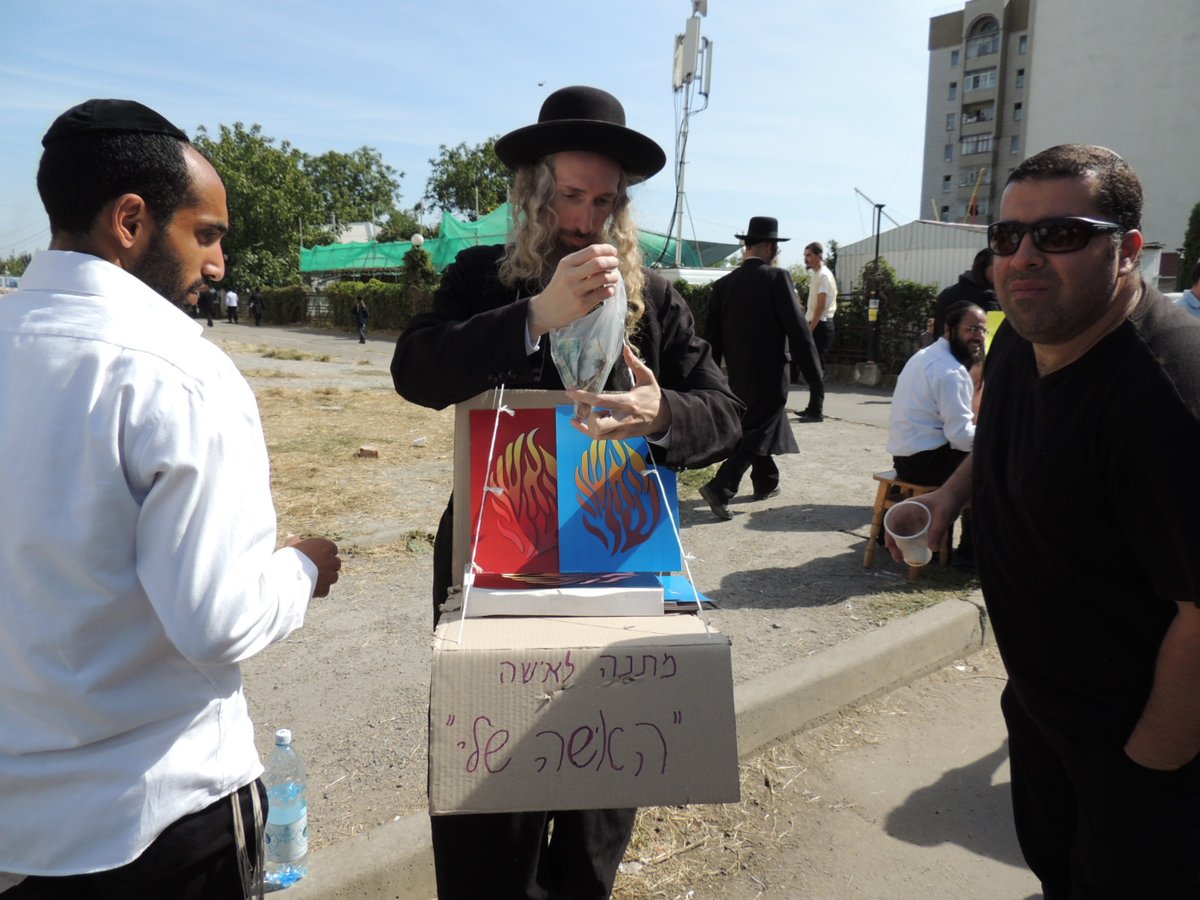 'קוגעל' בטעם של אומן ● שבת אחרונה של תשע"ב