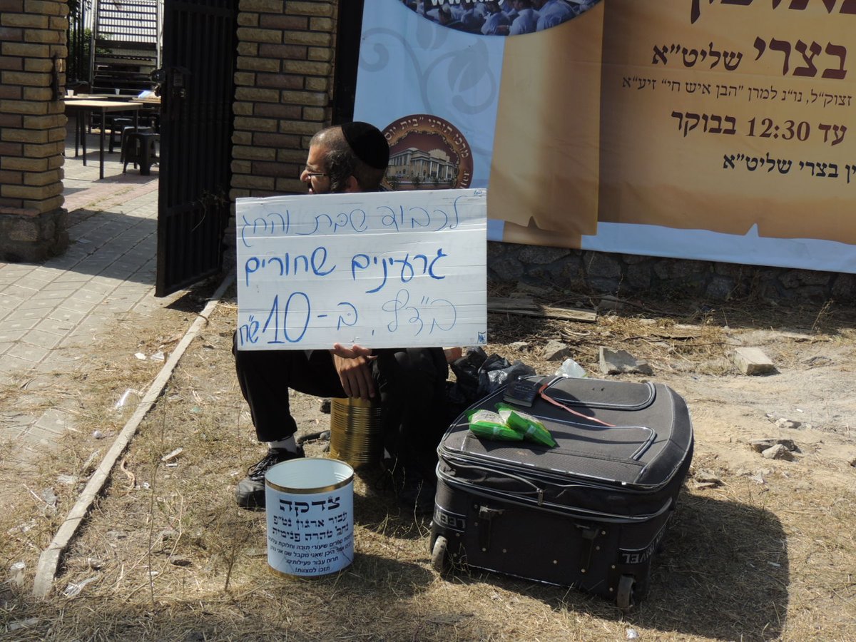 'קוגעל' בטעם של אומן ● שבת אחרונה של תשע"ב