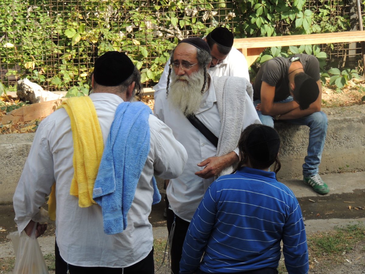 'קוגעל' בטעם של אומן ● שבת אחרונה של תשע"ב