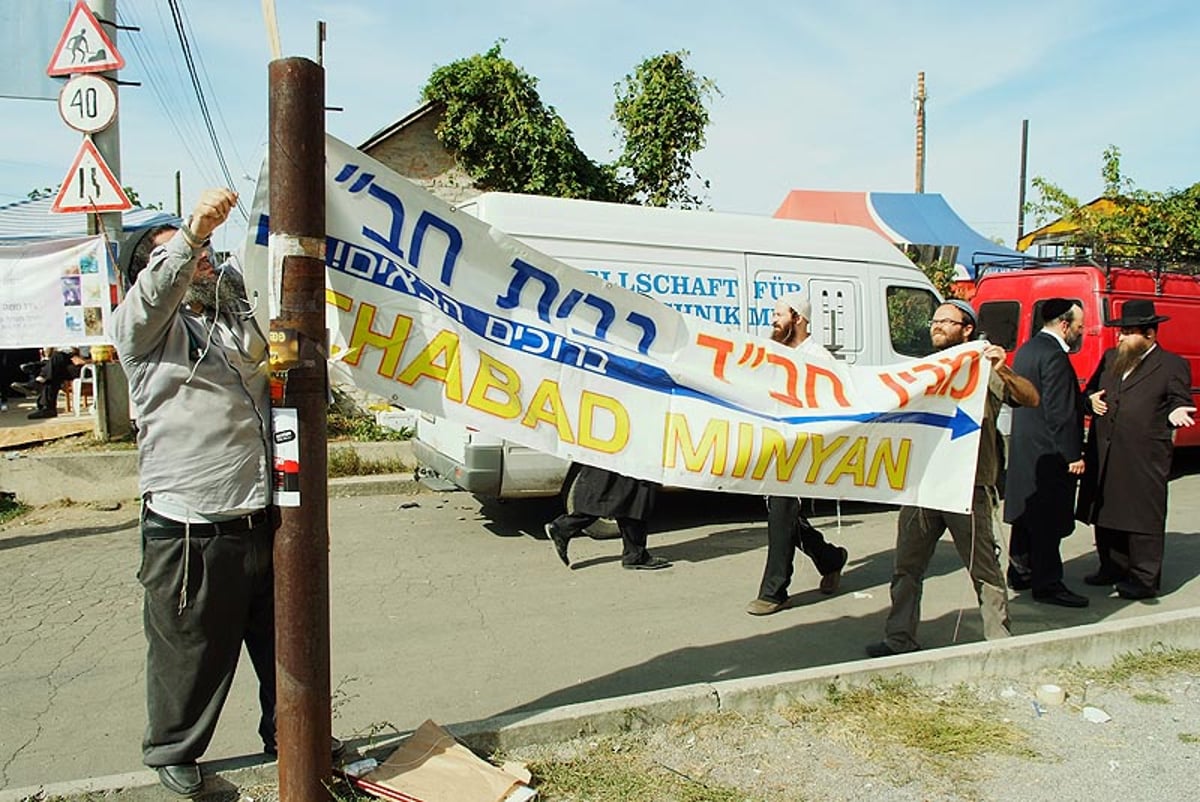אומן בעדשת אמן: צפו בגלריית ענק
