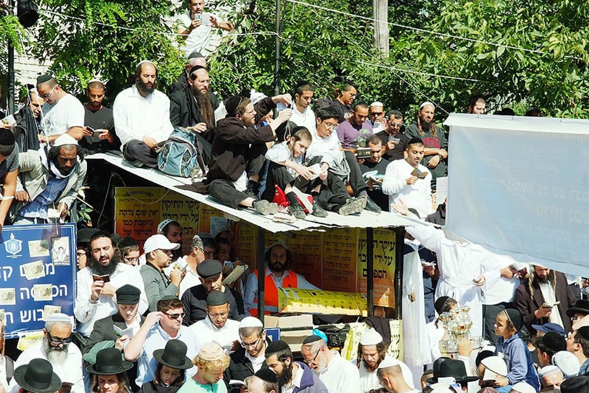 אומן בעדשת אמן: צפו בגלריית ענק