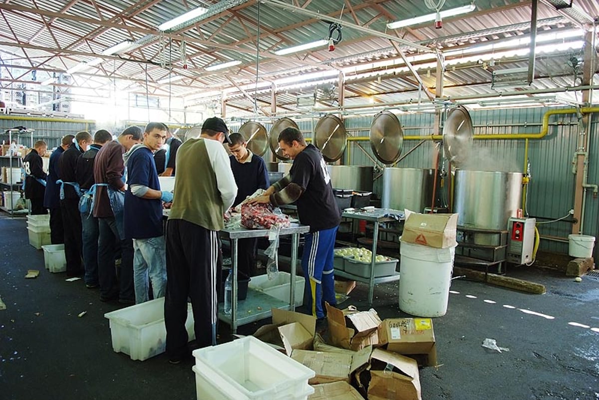 אומן בעדשת אמן: צפו בגלריית ענק