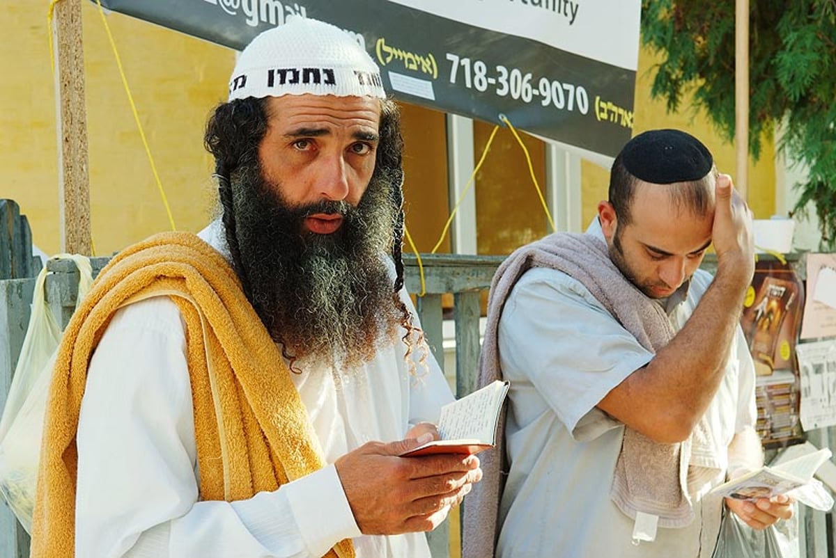 אומן בעדשת אמן: צפו בגלריית ענק