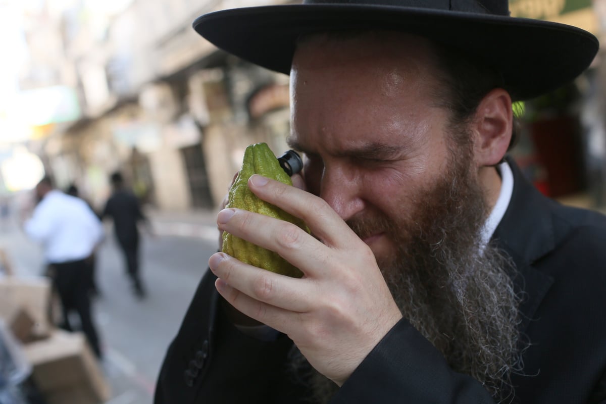 ערב יום כיפור במאה שערים: אתרוגים וסוכות