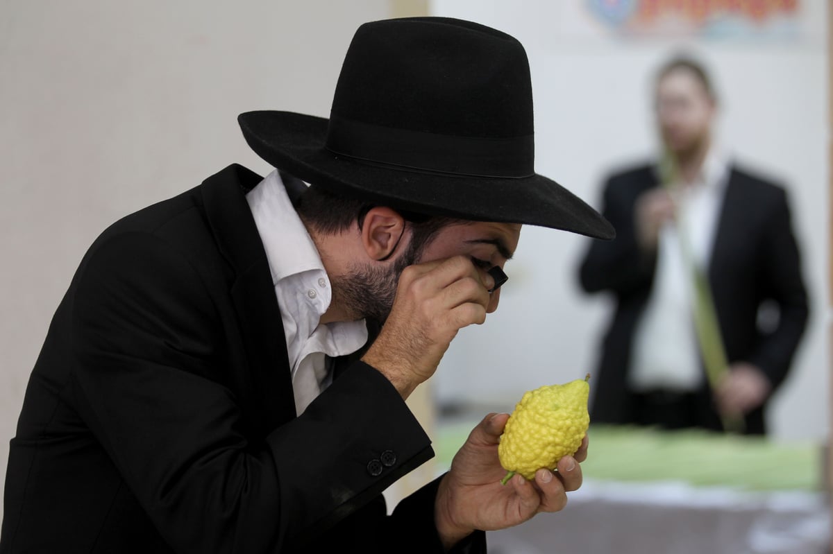 ערב יום כיפור במאה שערים: אתרוגים וסוכות