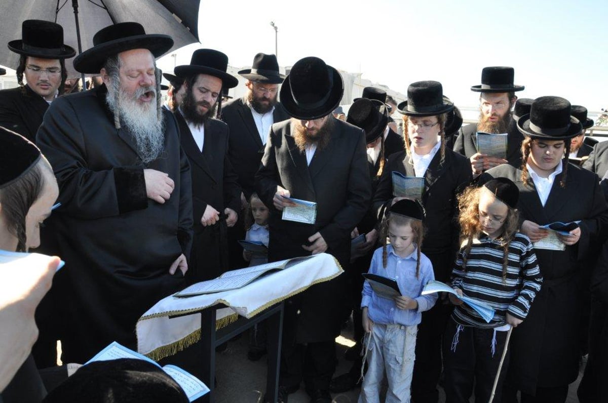 ערב יום הכיפורים: תשליך אחרון, כפרות בכל פינה