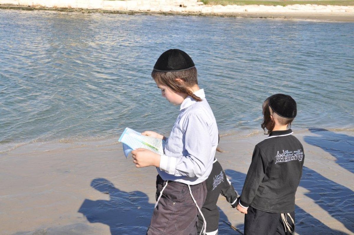 ערב יום הכיפורים: תשליך אחרון, כפרות בכל פינה