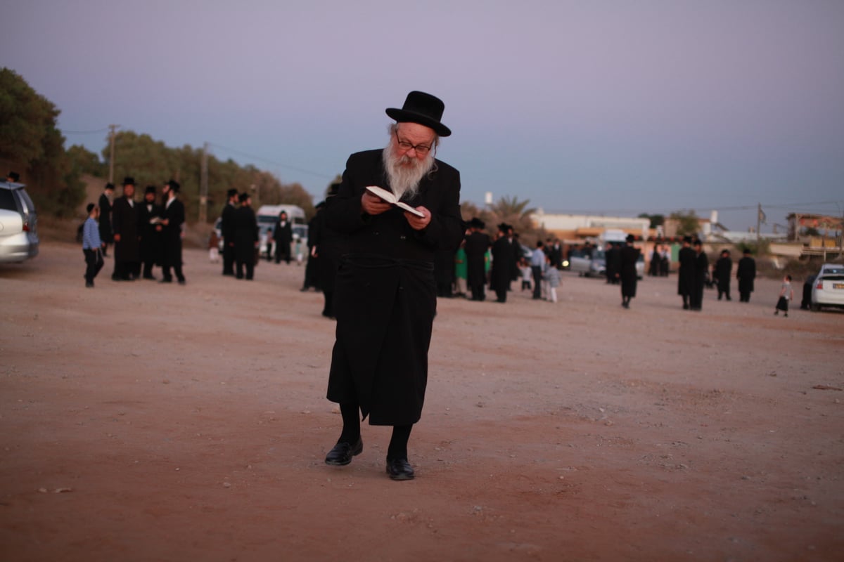 תיעוד: ה'תשליך' של ויז'ניץ בחוף הים