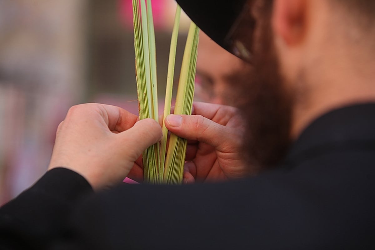 וּלְקַחְתֶּם לָכֶם ● שוק ה-4 מינים בירושלים, תיעוד חג