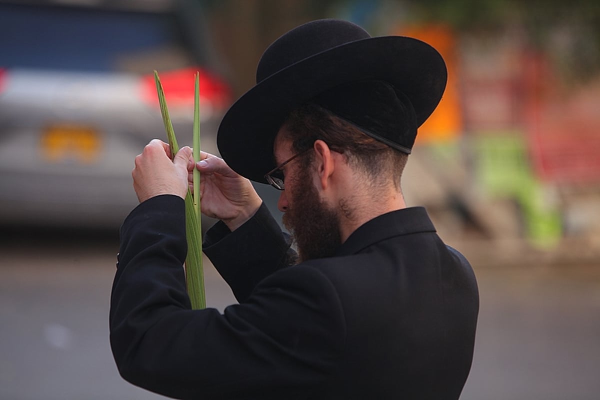 וּלְקַחְתֶּם לָכֶם ● שוק ה-4 מינים בירושלים, תיעוד חג