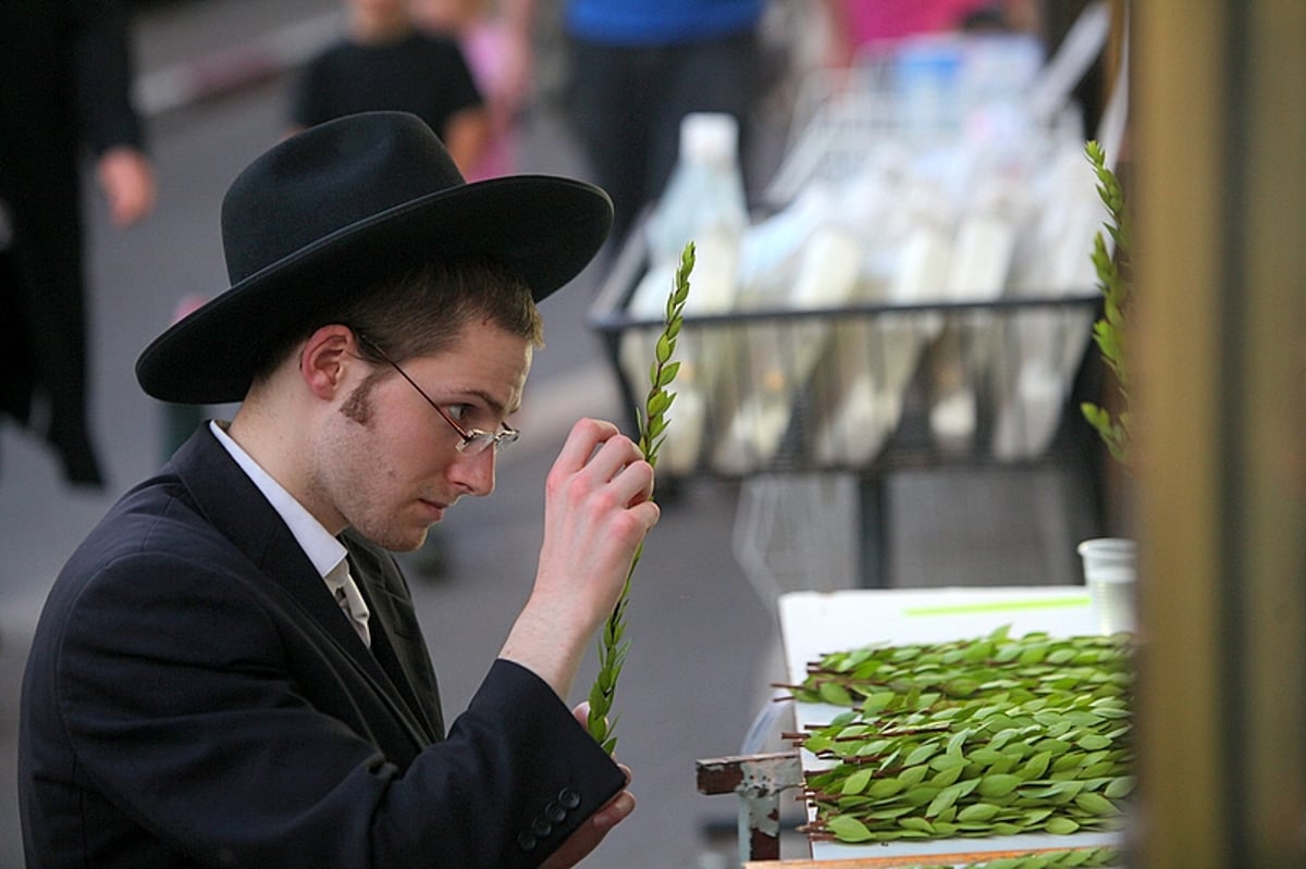 וּלְקַחְתֶּם לָכֶם ● שוק ה-4 מינים בירושלים, תיעוד חג