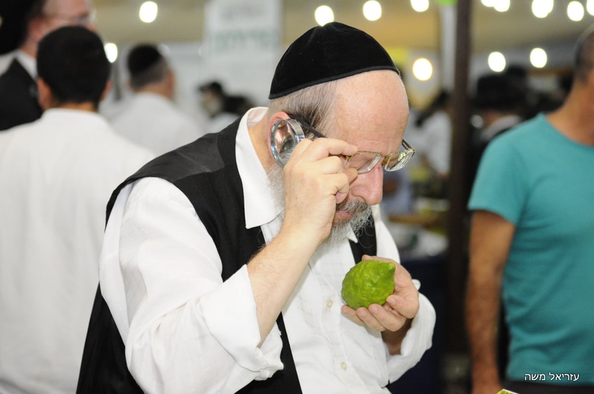 הכי מהודר שיש ● בני-ברק רוכשת את ארבעת המינים