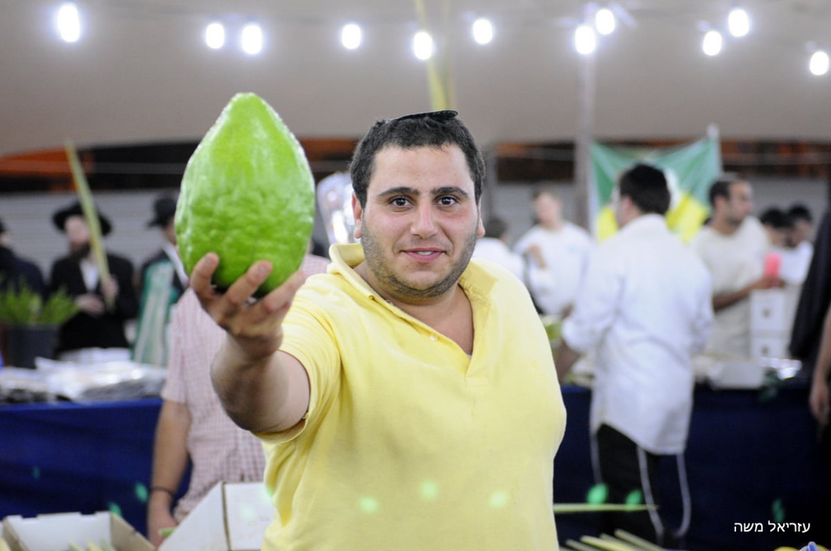 הכי מהודר שיש ● בני-ברק רוכשת את ארבעת המינים