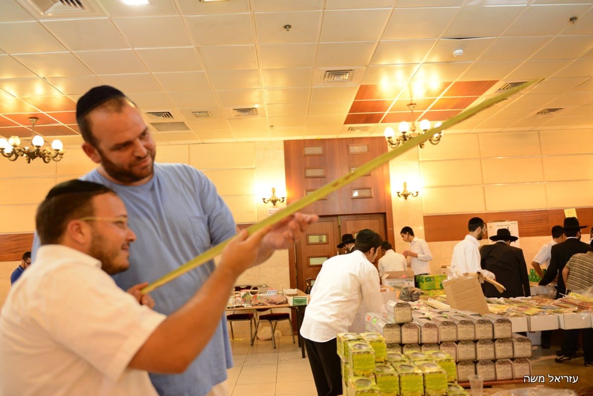 הכי מהודר שיש ● בני-ברק רוכשת את ארבעת המינים