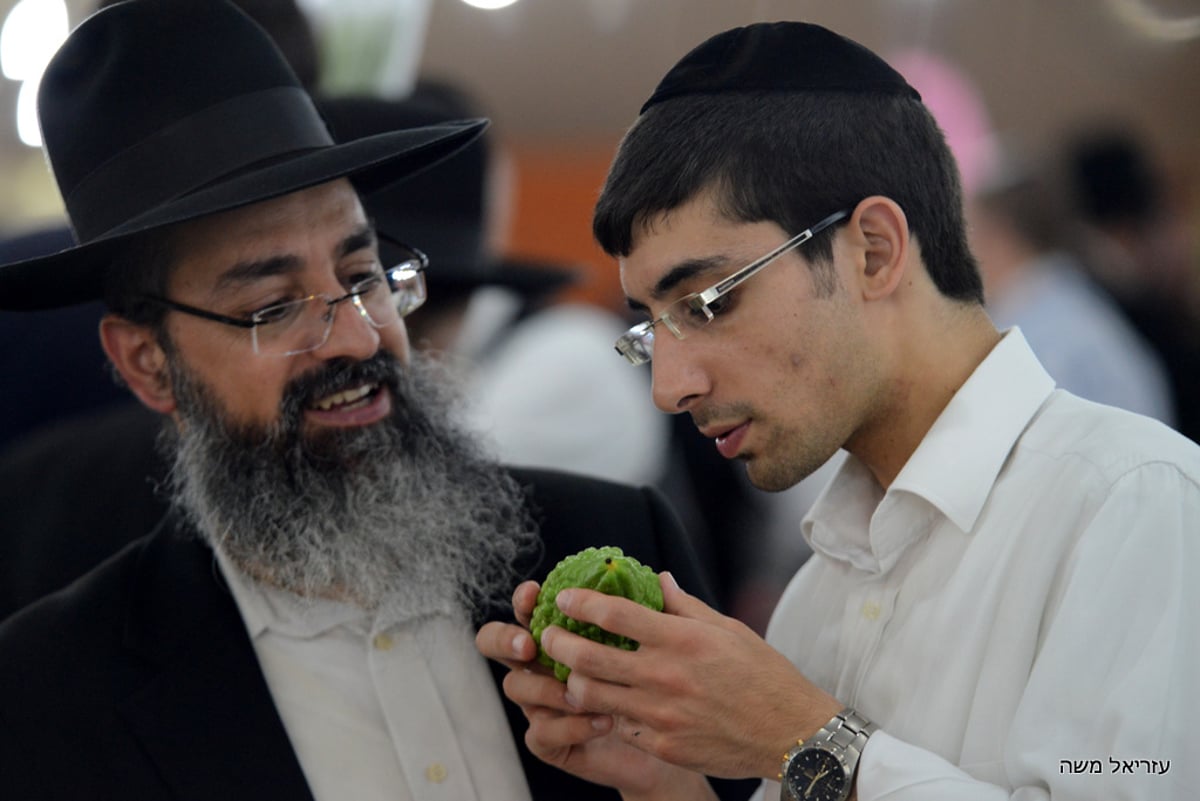 הכי מהודר שיש ● בני-ברק רוכשת את ארבעת המינים