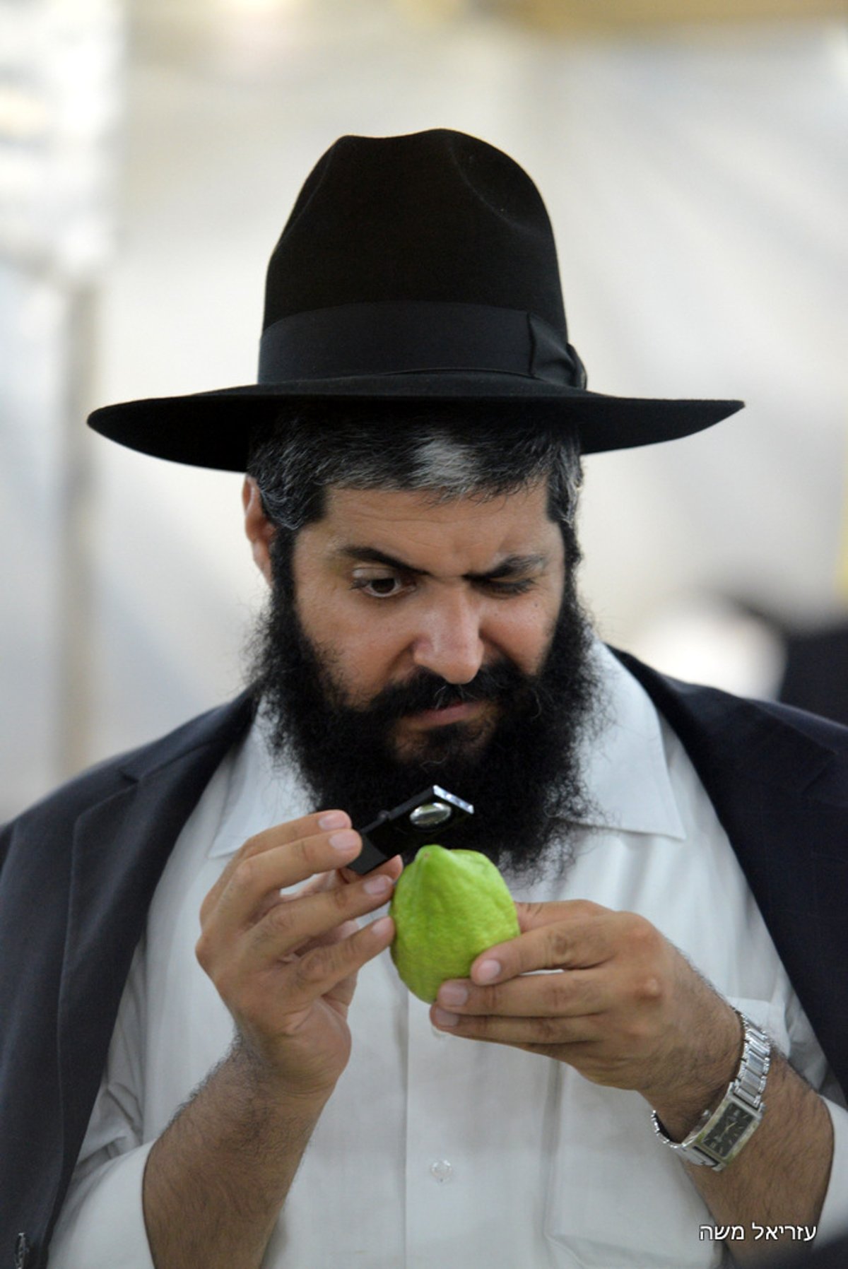 הכי מהודר שיש ● בני-ברק רוכשת את ארבעת המינים