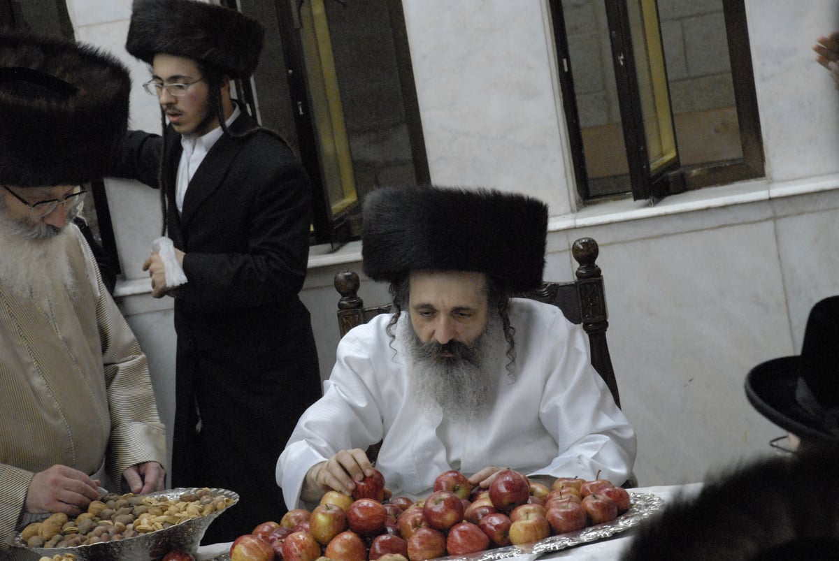 צפו בתיעוד: טיש תפוחים בשומרי אמונים