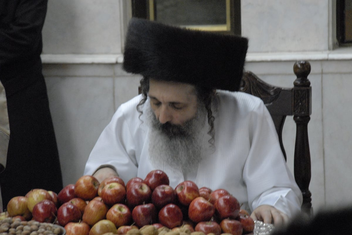 צפו בתיעוד: טיש תפוחים בשומרי אמונים