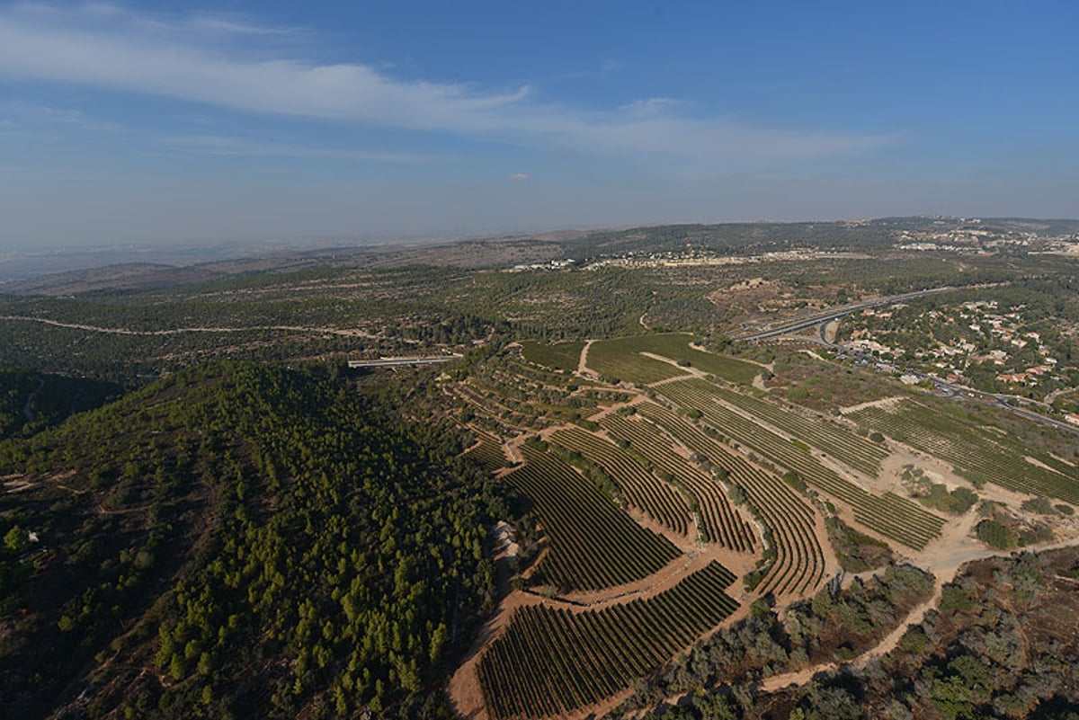 תיעוד מרהיב: כך נראית ארץ ישראל ממעוף הציפור