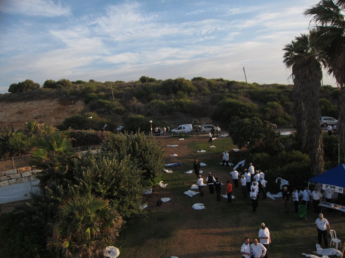 500 חללים ומאות נעדרים: התרגיל הגדול של זק"א