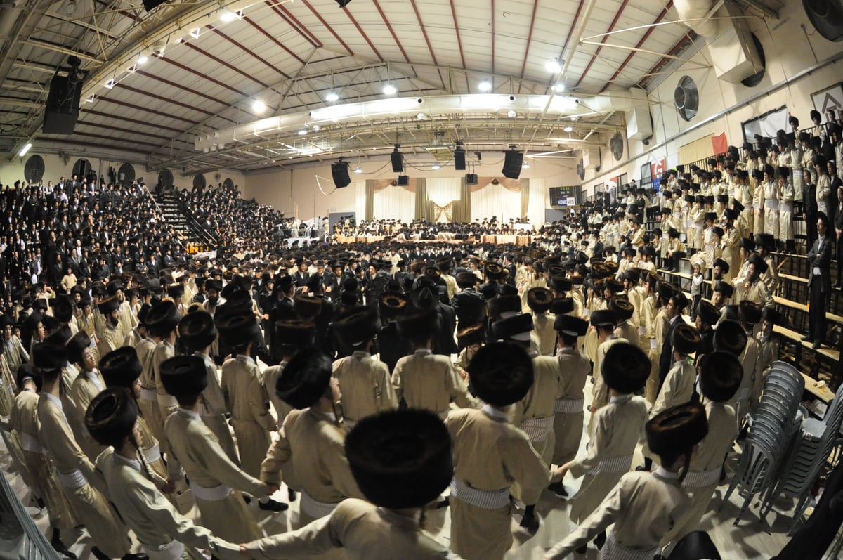 גלריה: חתונת בית קרעטשניף, תולדות אהרון, דז'יקוב ומעליץ