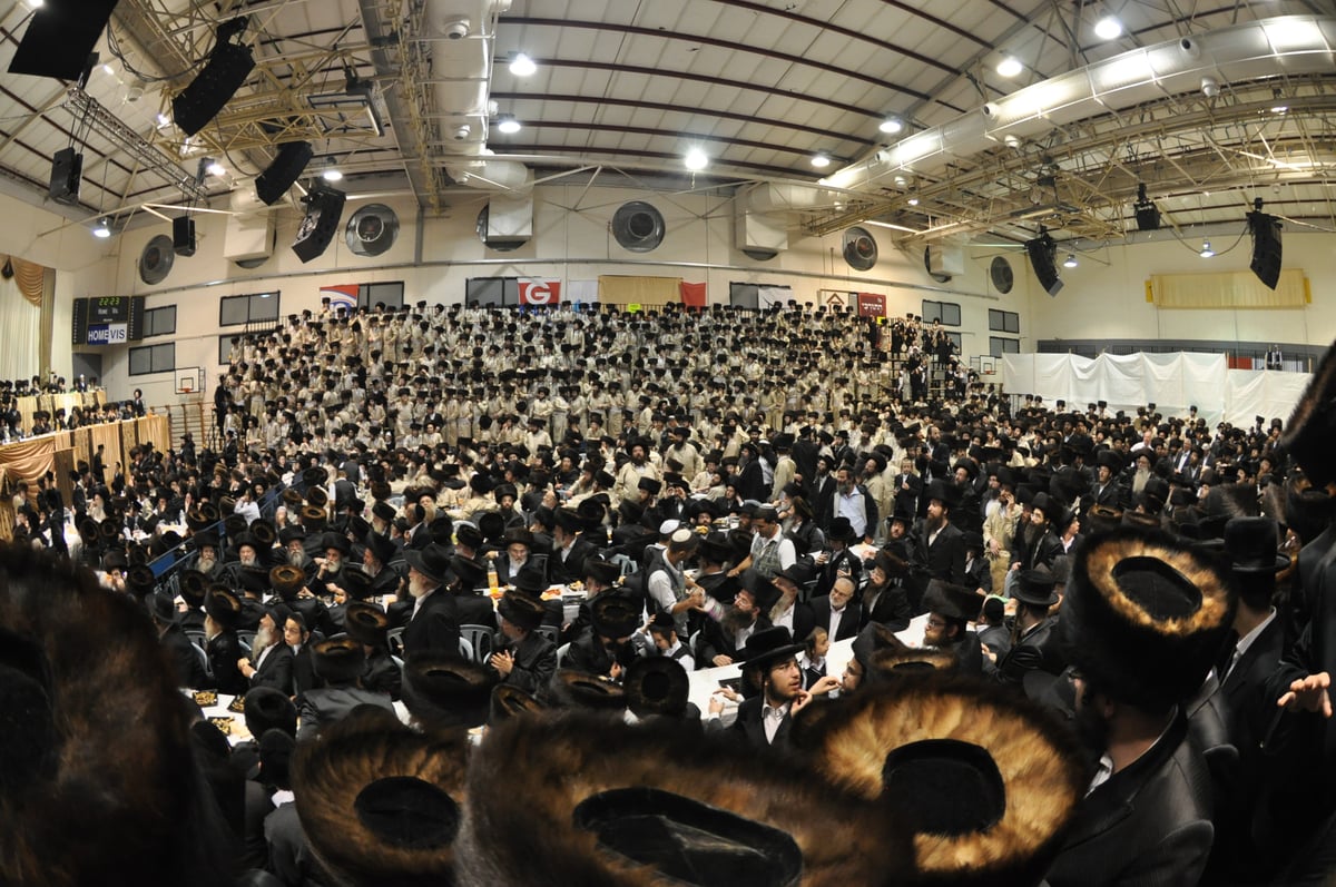 גלריה: חתונת בית קרעטשניף, תולדות אהרון, דז'יקוב ומעליץ