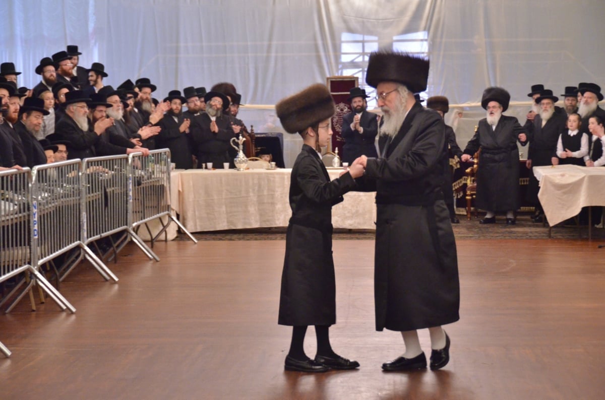 "מסע המלכות" של האדמו"ר מויז'ניץ • גלריה