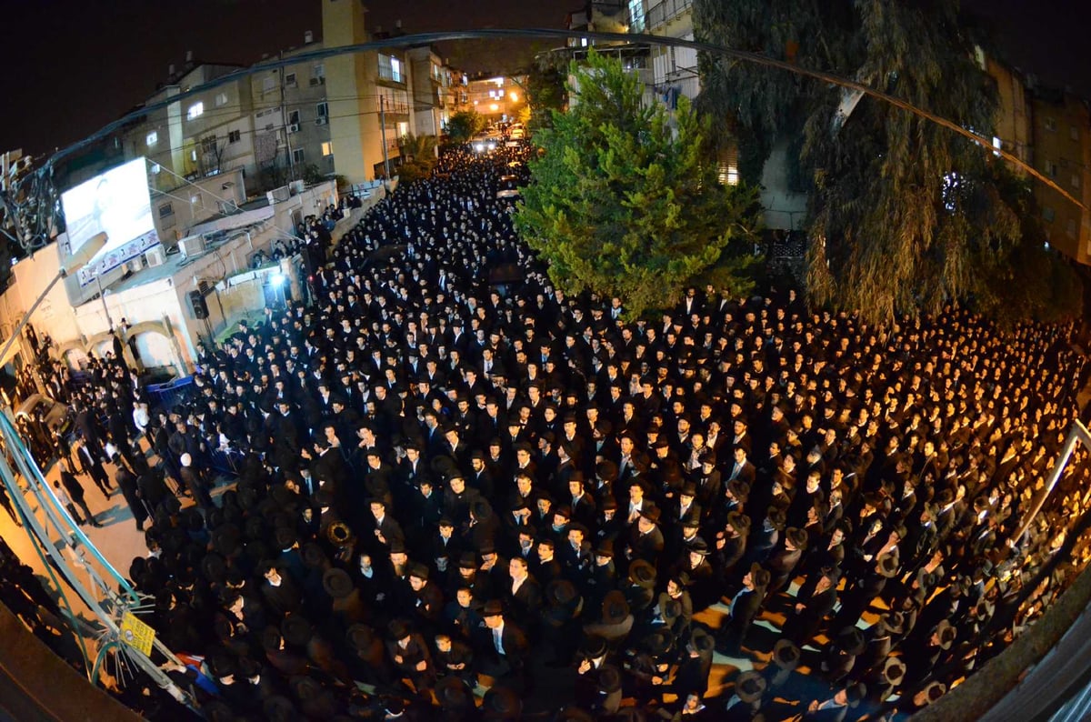 כינוס 'דגל התורה': "אם יקצצו, הם יפגעו בעצמם"