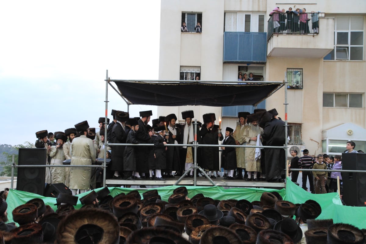 מרהיב: מצווה טאנץ בתולדות אברהם-יצחק