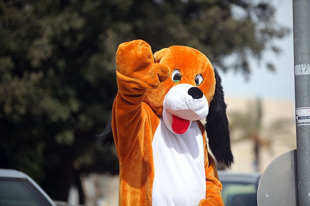 פורים ללא הפסקה: תיעוד ענק מהחגיגות בירושלים