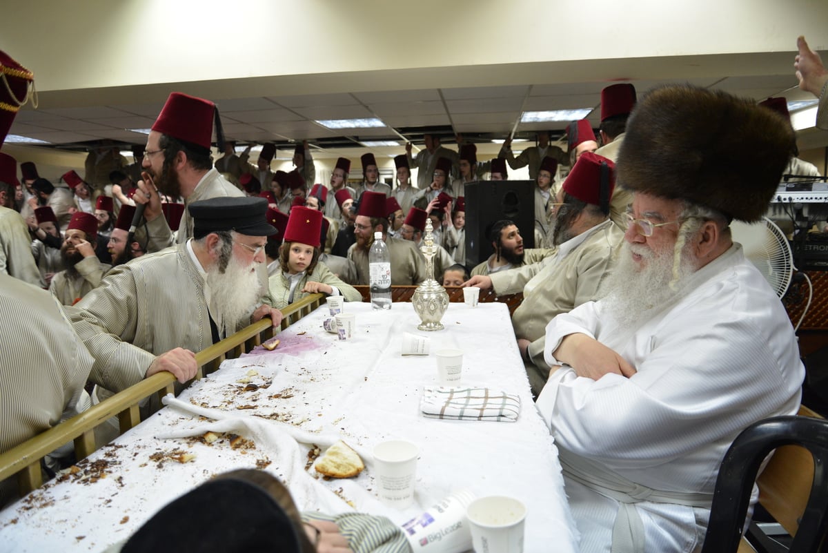 תיעוד ענק: הפורים של המתמידים