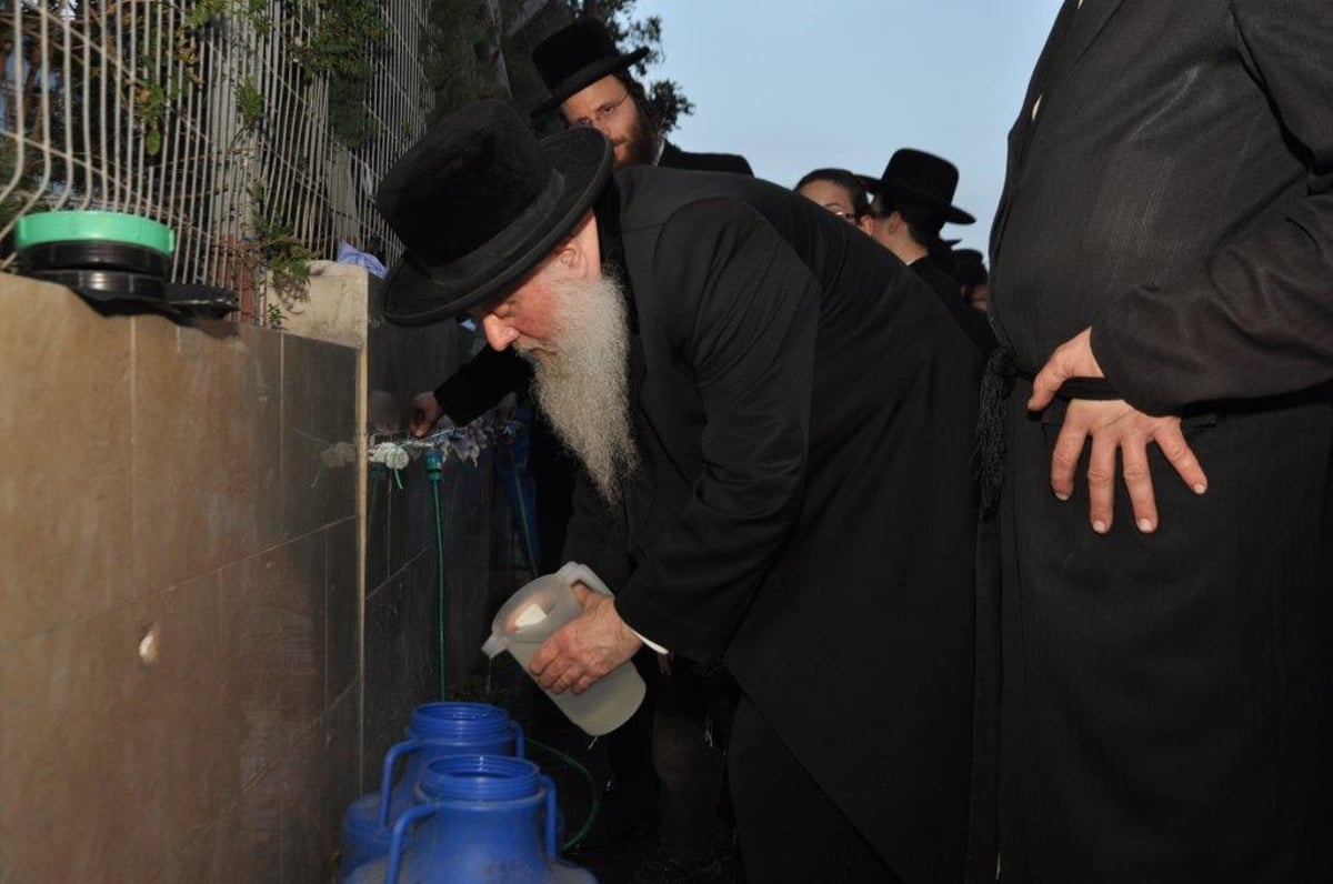 צפו: רבנים ב'מים שלנו' ואפיית מצות