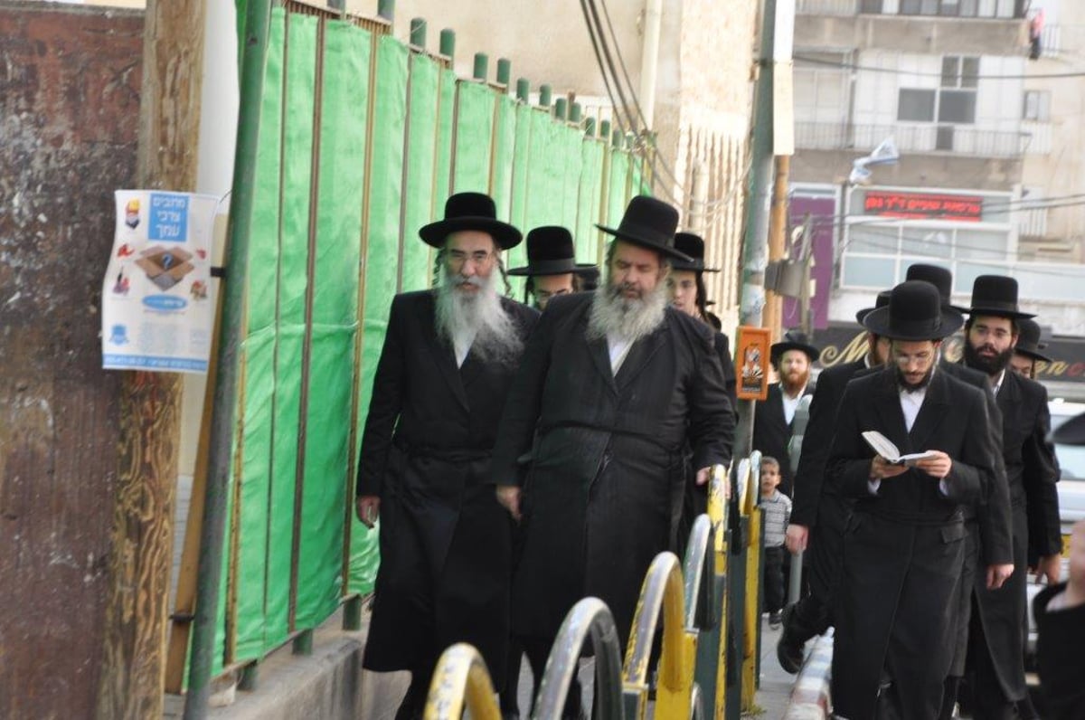 גלריה: האדמו"ר מאלכסנדר בברכת האילנות