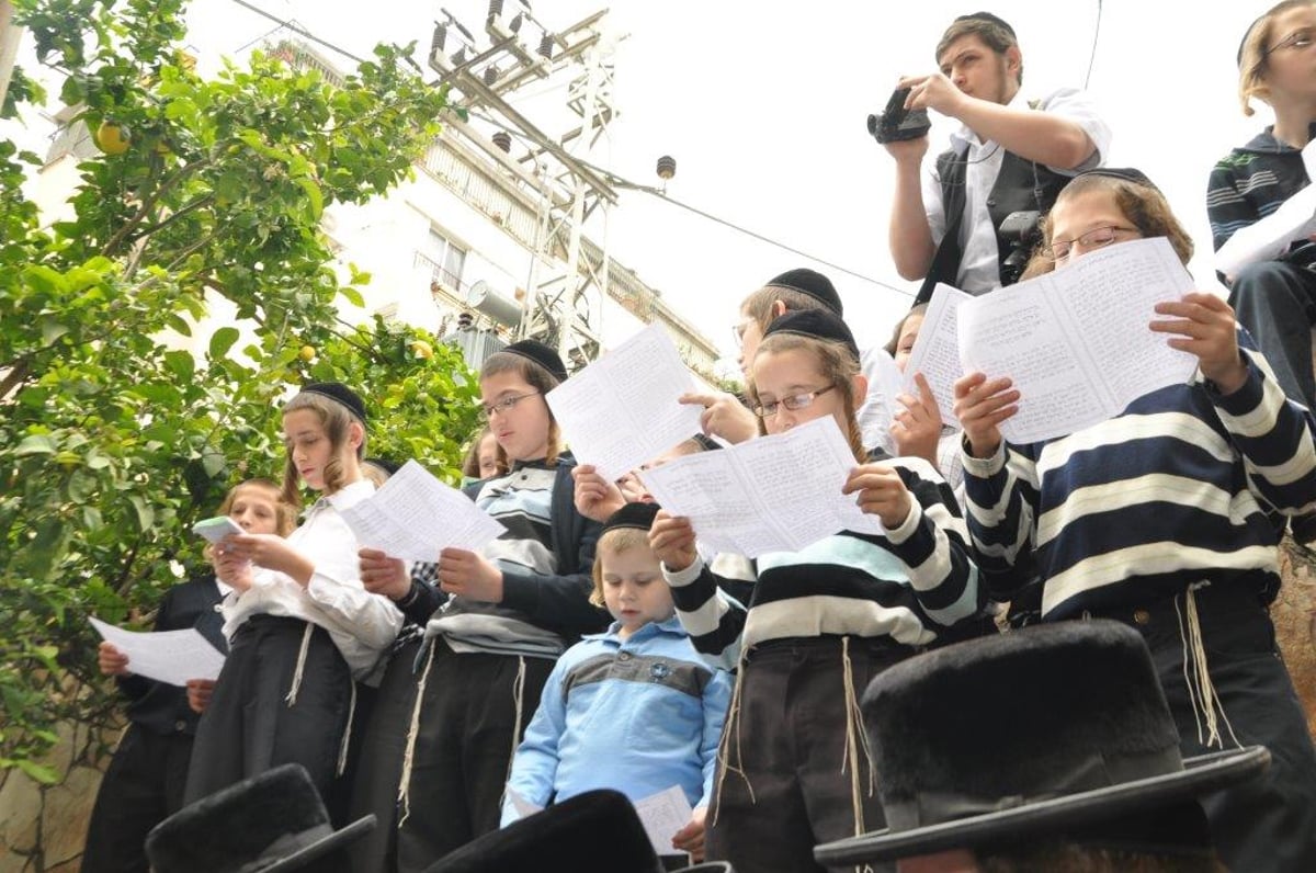 האדמו"ר מנדבורנה בברכת האילנות • גלריה