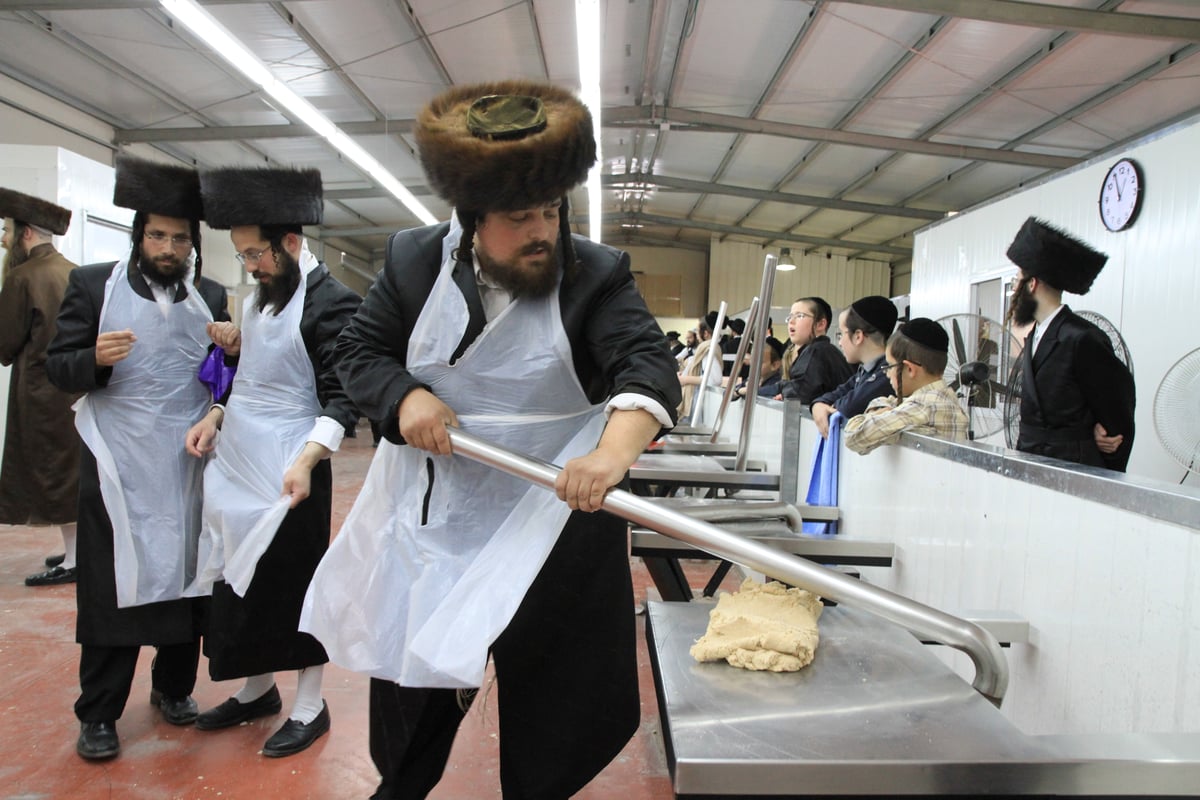 שלב אחר שלב: כך אופים מצות לחג הפסח