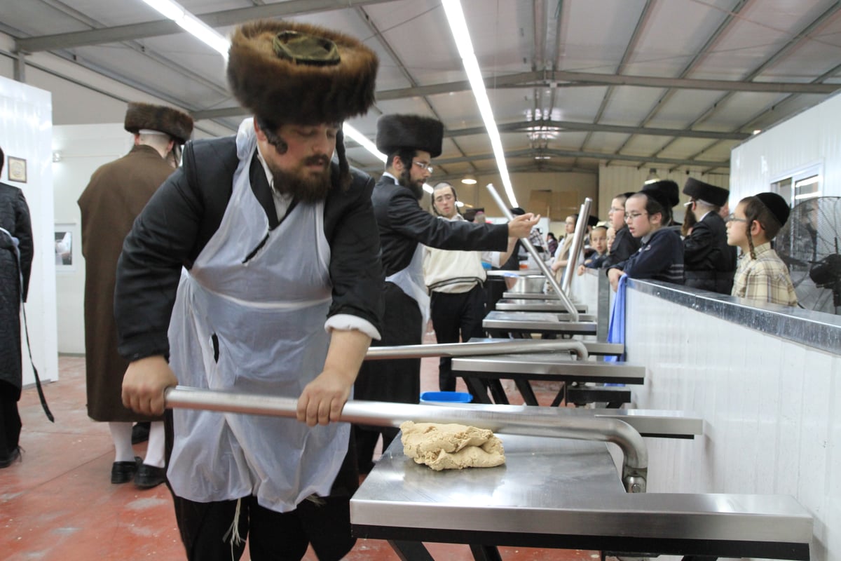 שלב אחר שלב: כך אופים מצות לחג הפסח