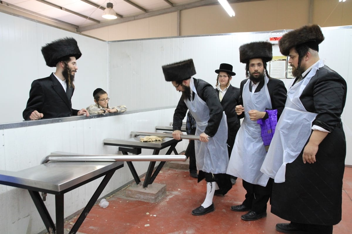 שלב אחר שלב: כך אופים מצות לחג הפסח