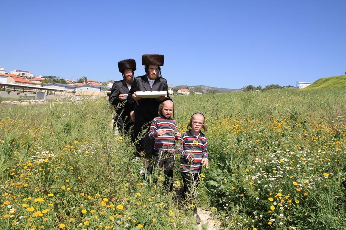 שלב אחר שלב: כך אופים מצות לחג הפסח