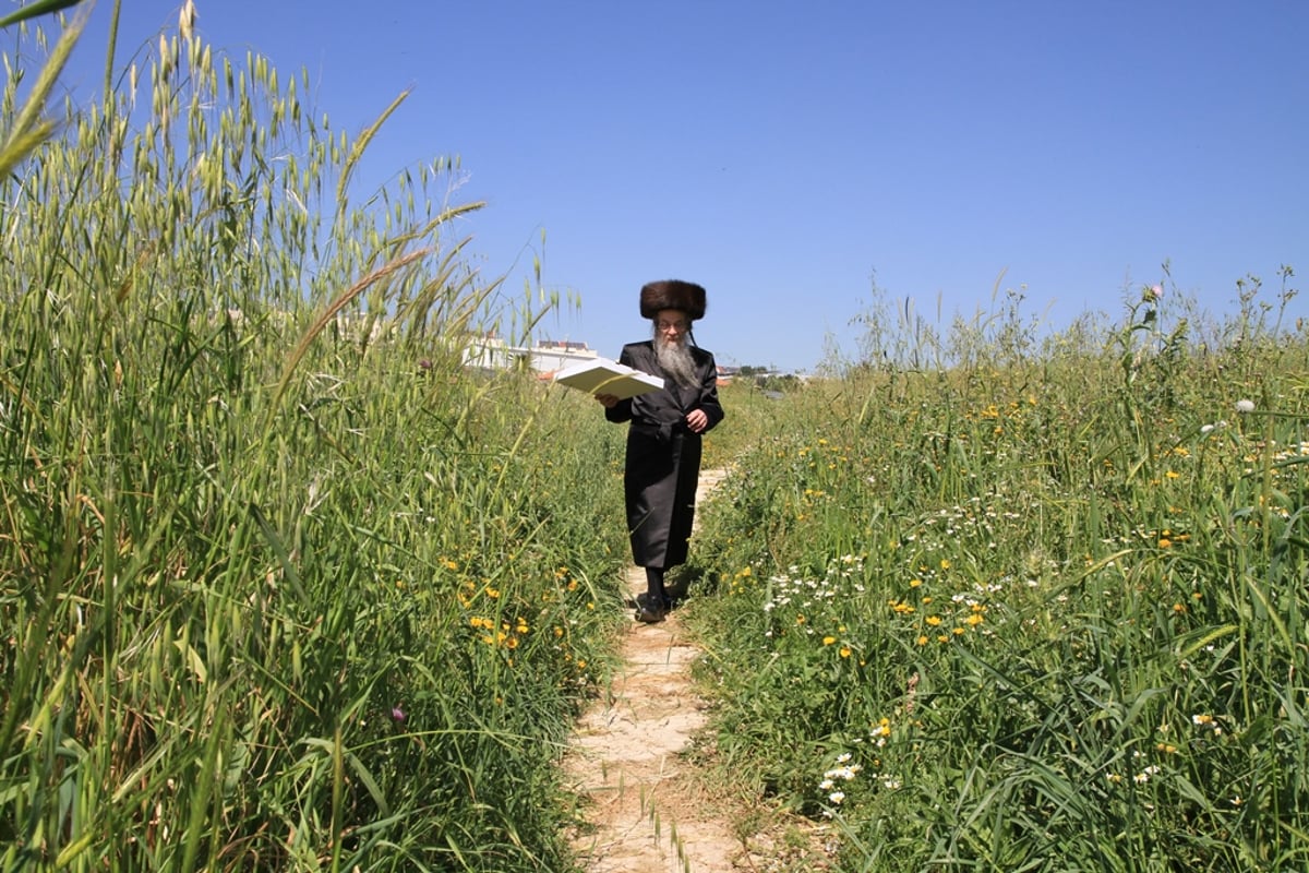 שלב אחר שלב: כך אופים מצות לחג הפסח