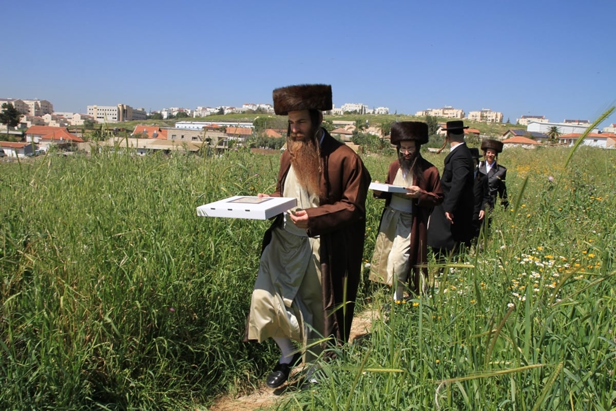 שלב אחר שלב: כך אופים מצות לחג הפסח