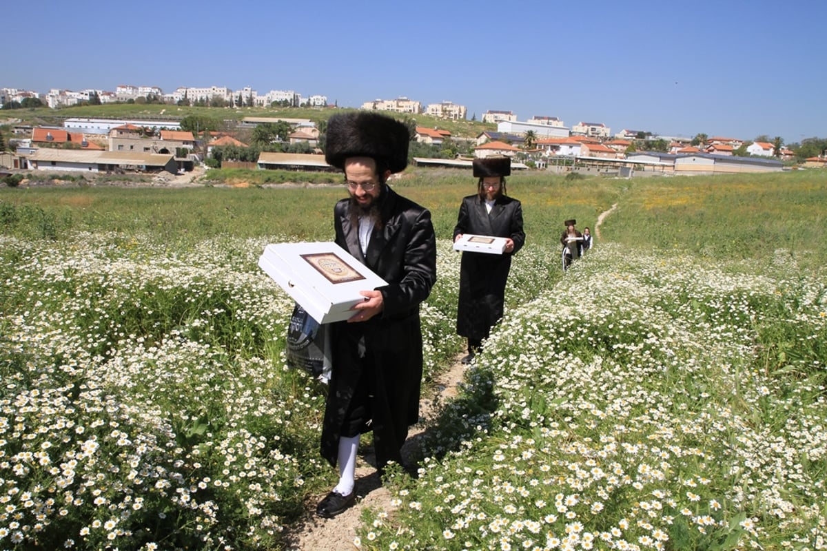 שלב אחר שלב: כך אופים מצות לחג הפסח