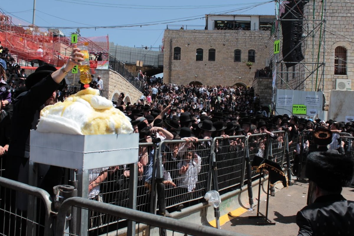 חלאקה, שרב, וח"י רוטל • מירון בוערת משמחה; צפו